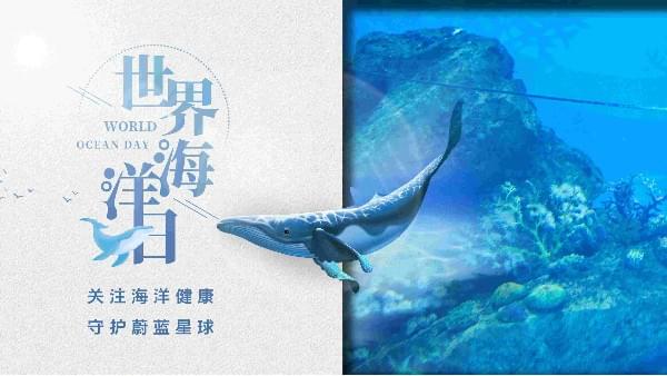 世界海洋日|德曼为你勾勒心中那片海